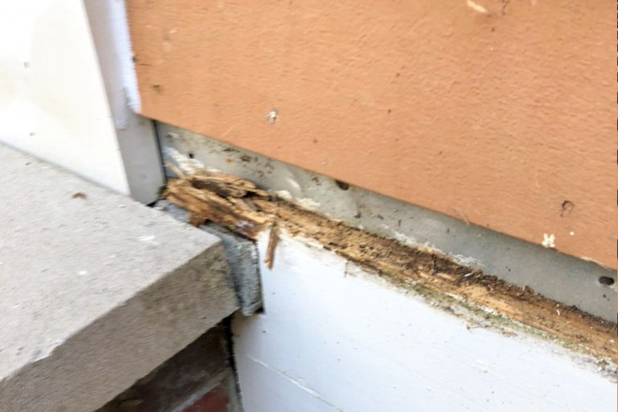 Close view of rotted exterior wood before repair
